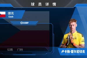 HWG！纽卡2500w镑签捷克国门霍尔尼切克️来看门神风采