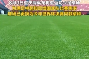 重庆龙兴足球场为国家队赛事更替为世界杯决赛同款草种