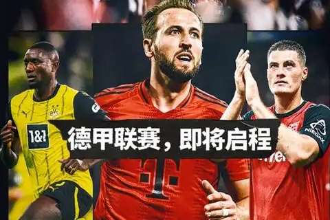 厄瓜多尔VS 德国