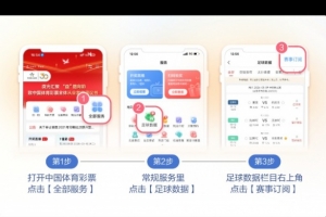 全网热议！德乙新赛季开战，球迷热议降级球队与升班马