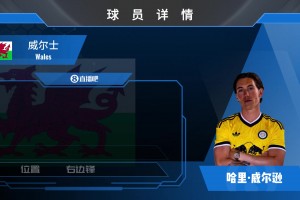已官宣！利兹联免签29岁边锋哈里·威尔逊，来看精彩集锦
