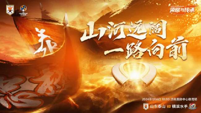 日本对阵瑞典