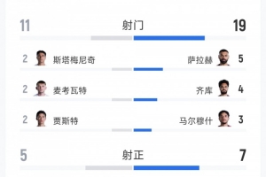埃及对阵新西兰全场数据：射门19次对12次，射正7次对5次，得分机会5次对3次