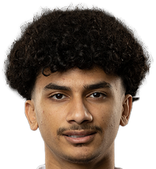阿里·阿尔梅马里